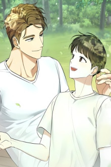 Gentle Forest Gentle Forest